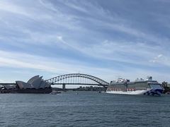 -麦考利夫人座椅