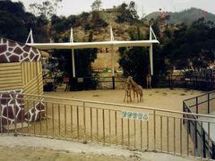 -泉州海丝野生动物世界