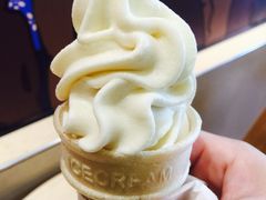 豆浆霜淇淋-永和大王(茉莉上新·共和新路店)
