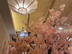 -樱之味精致料理融合餐厅