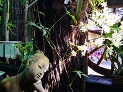 -自然餐厅(Phuket)