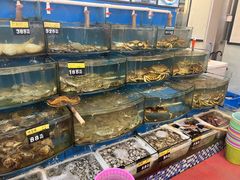 -渔中舟海鲜大排档(普陀沈家门店)