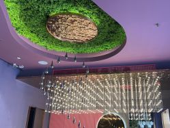 -花隐·美芙炫海菲秀皮肤管理中心