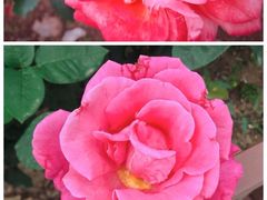 -黑色经典臭豆腐·湖南特产(步行街店)