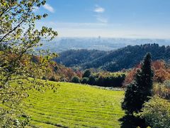 -敬亭山风景名胜区