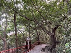 -小南山公园