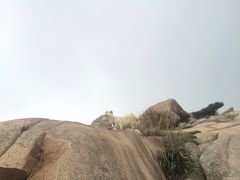 -东极岛景区