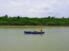 -东寨港红树林旅游区