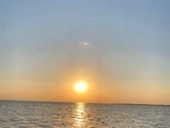 -苏州太湖国家湿地公园
