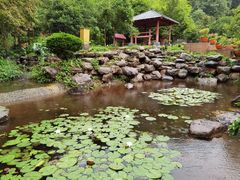 -中铁花水湾温泉酒店(大邑店)