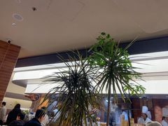 -苏小柳点心·手作小笼包(浦东嘉里城分院)