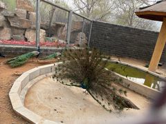 -石家庄市动物园