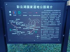 -重庆彩云湖湿地公园