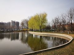 -泰丰公园