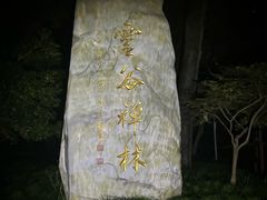-灵谷景区