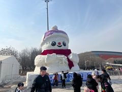 -沈阳奥体冰雪嘉年华