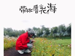 -长兴太湖图影湿地文化园