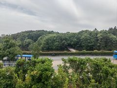 -鄱阳湖国家湿地公园
