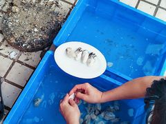 -濠轩阁特色生蚝火锅(水湾路店)