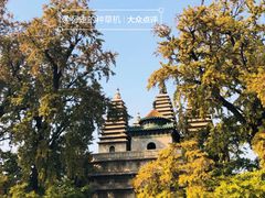 -北京石刻艺术博物馆(五塔寺)