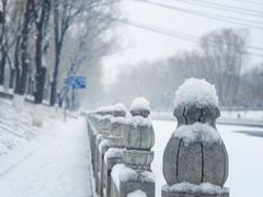 -南长河公园