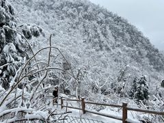 -九峰山