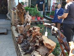 -中环花鸟鱼虫市场