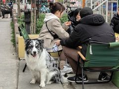 -飘香火锅(玉林西路店)