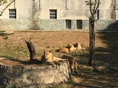 -西安秦岭野生动物园