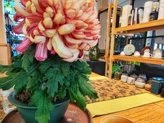 -JRCAFE玖如空间