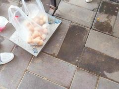 -韩士良采摘园