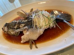 -利苑酒家(金宝店)