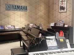 -知音艺术教育培训·钢琴培训·音乐培训(河西金鹰世界校区)