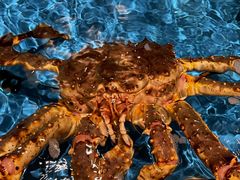 -蟹将军·松叶蟹和牛日料放题自助(K11店)