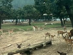 -西安秦岭野生动物园