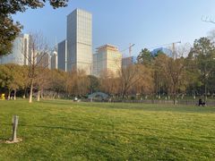 -中央公园(苏州工业园区)