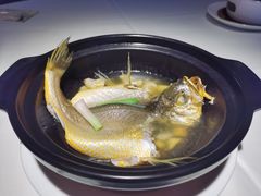 砂锅蒸黄花鱼-悦景酒家(罗湖店)