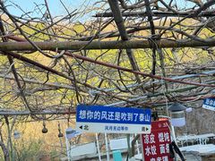 -泰山风景名胜区-普照寺