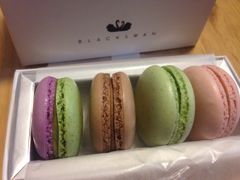 -BLACKSWAN黑天鹅(环球店)