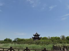 -上海海湾国家森林公园