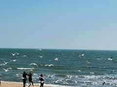 -老虎石海上公园