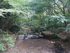 -杭州半山国家森林公园