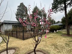 -北京市劳动人民文化宫(太庙)