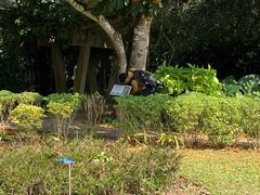 -中国科学院西双版纳热带植物园