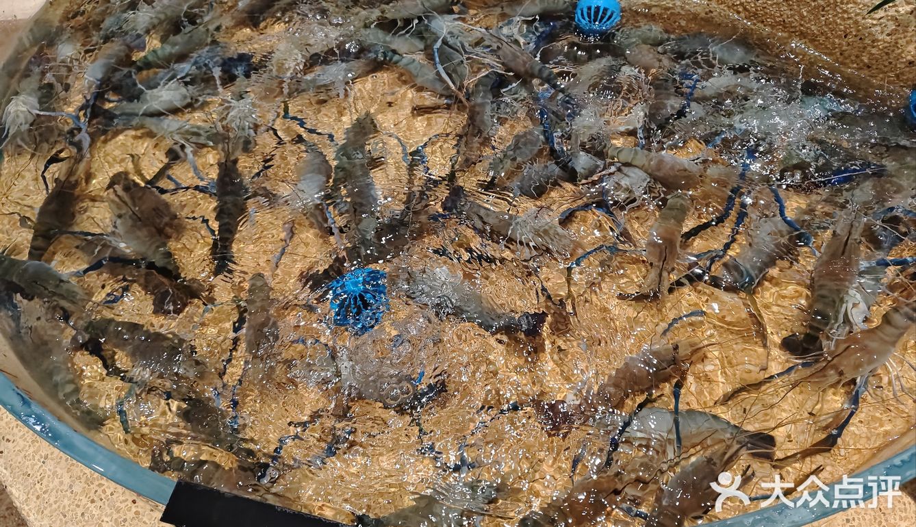 种草N久的饭庄，口味一流！