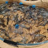 种草N久的饭庄，口味一流！