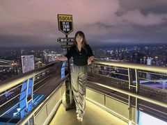 -WFC会仙楼观景台