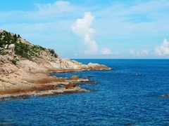 -广东惠东海龟国家级自然保护区