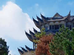 -大鹿岛