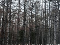 -长春净月潭风景名胜区